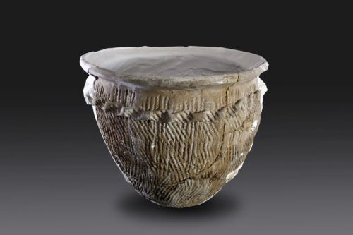 微信图片_2025-11-04_104557_308.jpg 微信图片_2025-11-04_104557_308.jpg